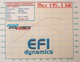 dynopetev8.jpg (14560 bytes)