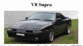 iconV8supra.jpg (5113 bytes)